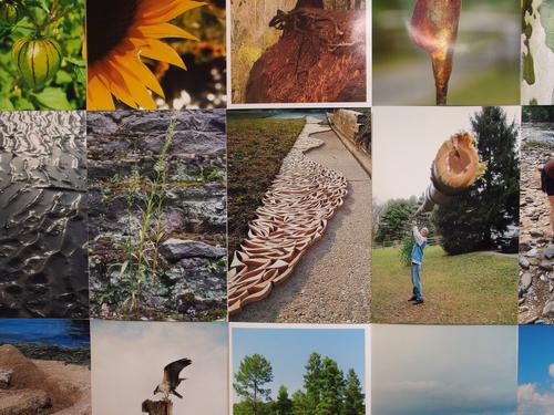 wall collage of donated photos on display at Goucher College near Baltimore, Maryland