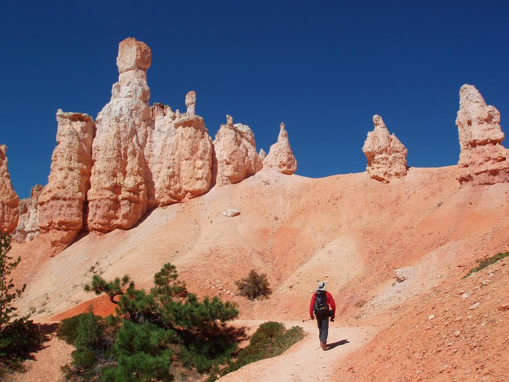 hiker entering the fantastical eroding-rock landscape of Bryce Canyon National Park in Utah