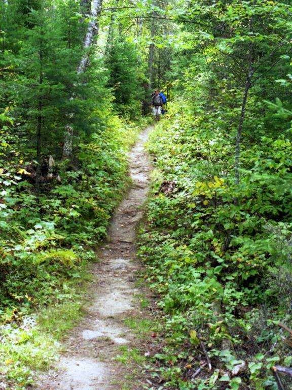 our group hikes a long portage trail in August in the Boundary Waters Canoe Area in northern Minnesota