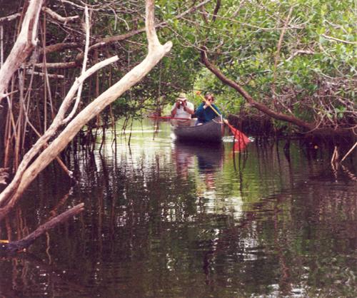 Anne and George canoeing in the Everglades, Florida, in January 1996
