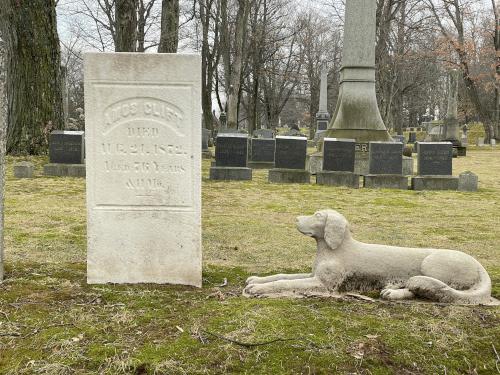 dog statue in January at Mt Albion Cemetery in Albion, New York