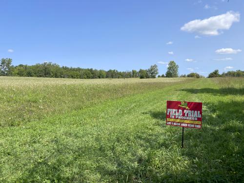 field in September at Darien Lakes State Park near Batavia in western NY