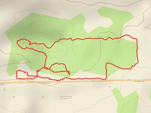 GPS track in May at Mt Albion Cemetery in Albion, New York