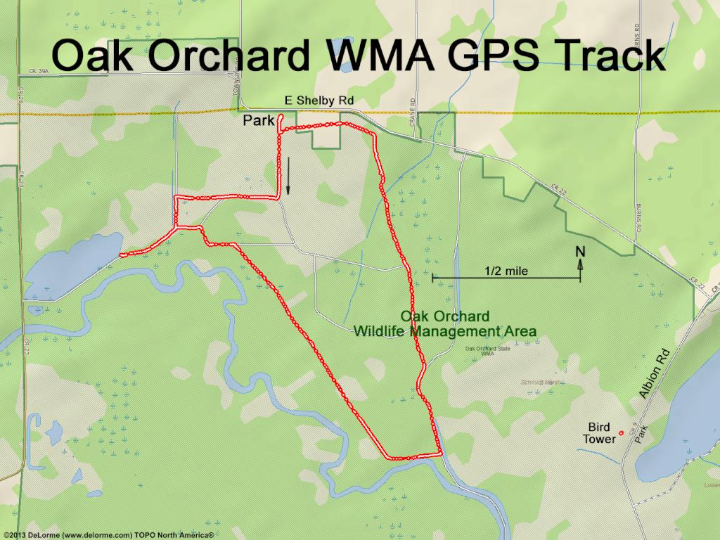 GPS track in December at Oak Orchard WMA near Elmira, New York