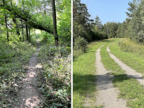 trails in September at Darien Lakes State Park near Batavia in western NY