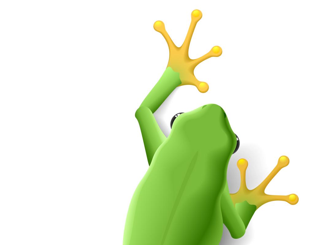 Frog Music image