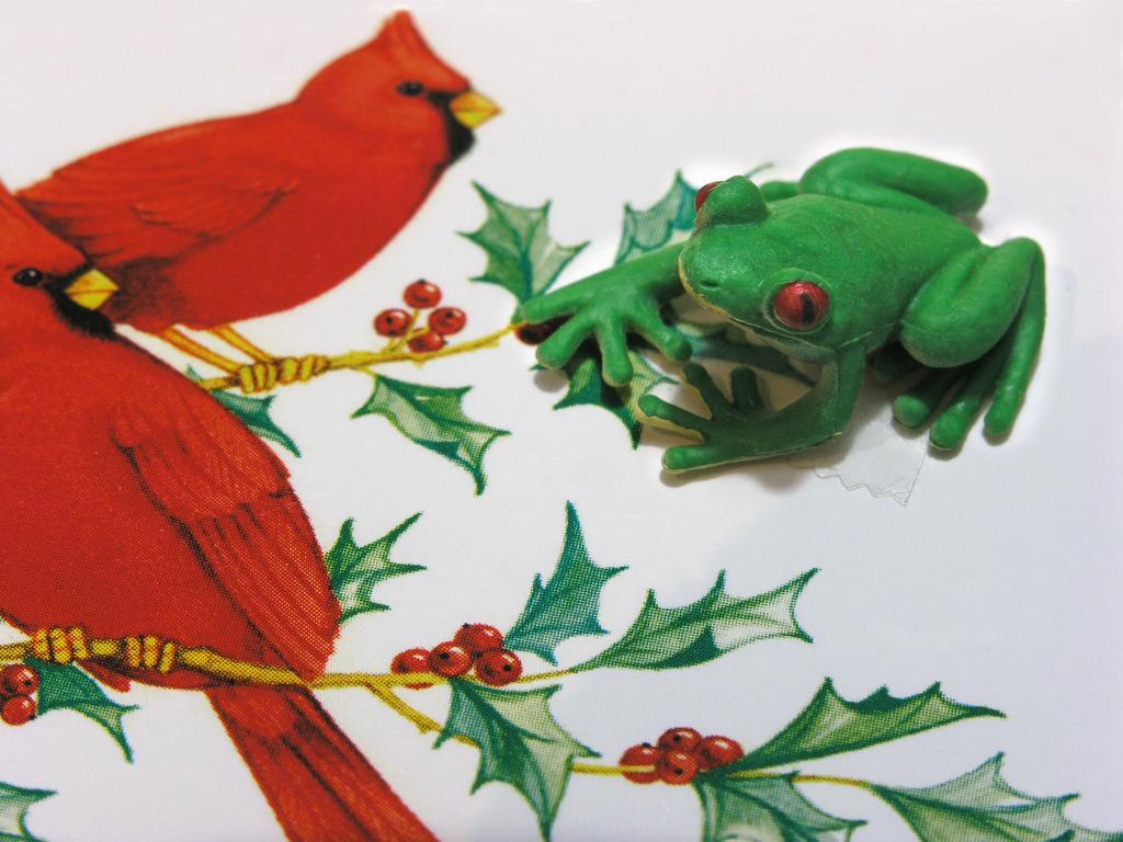 frog notecard