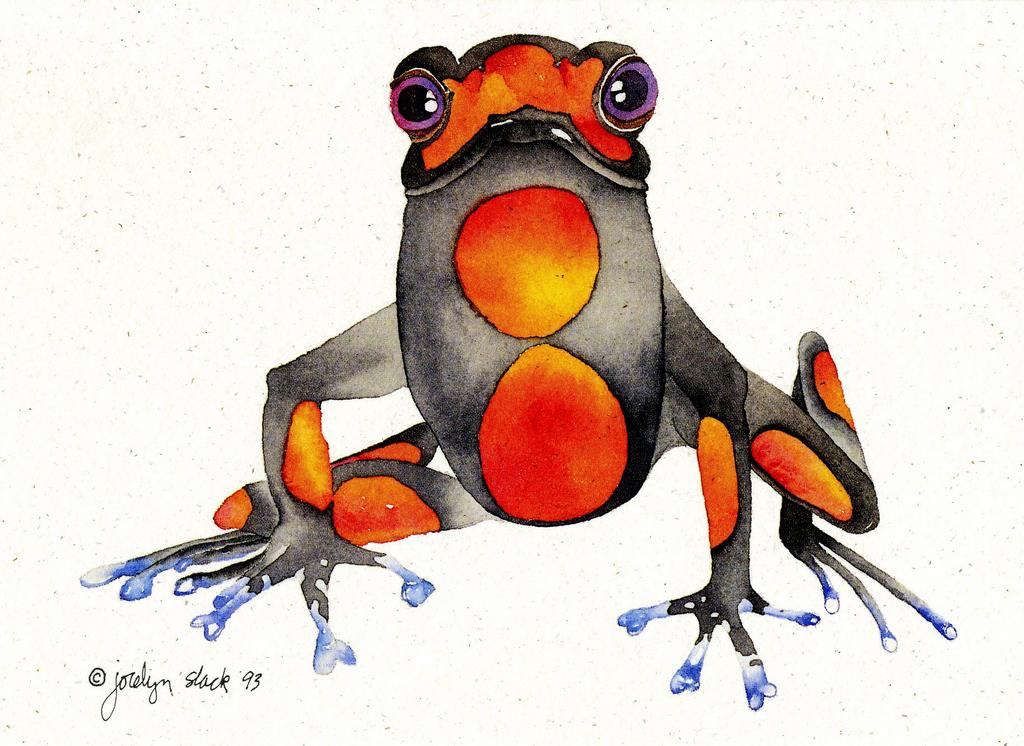 frog notecard