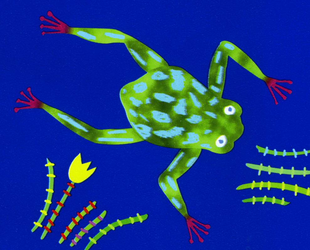 gift wrapping paper with frog design