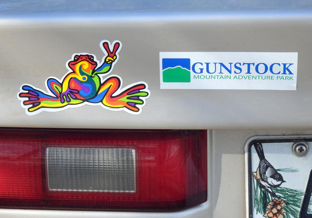 bumper-sticker frog