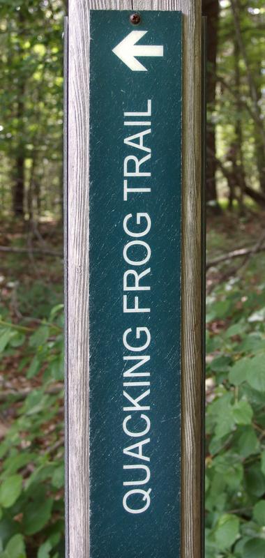 frog trail sign