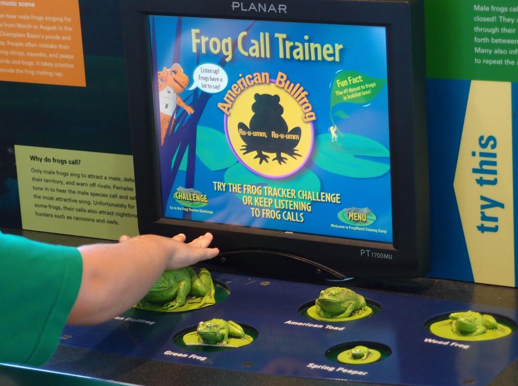 frog call trainer