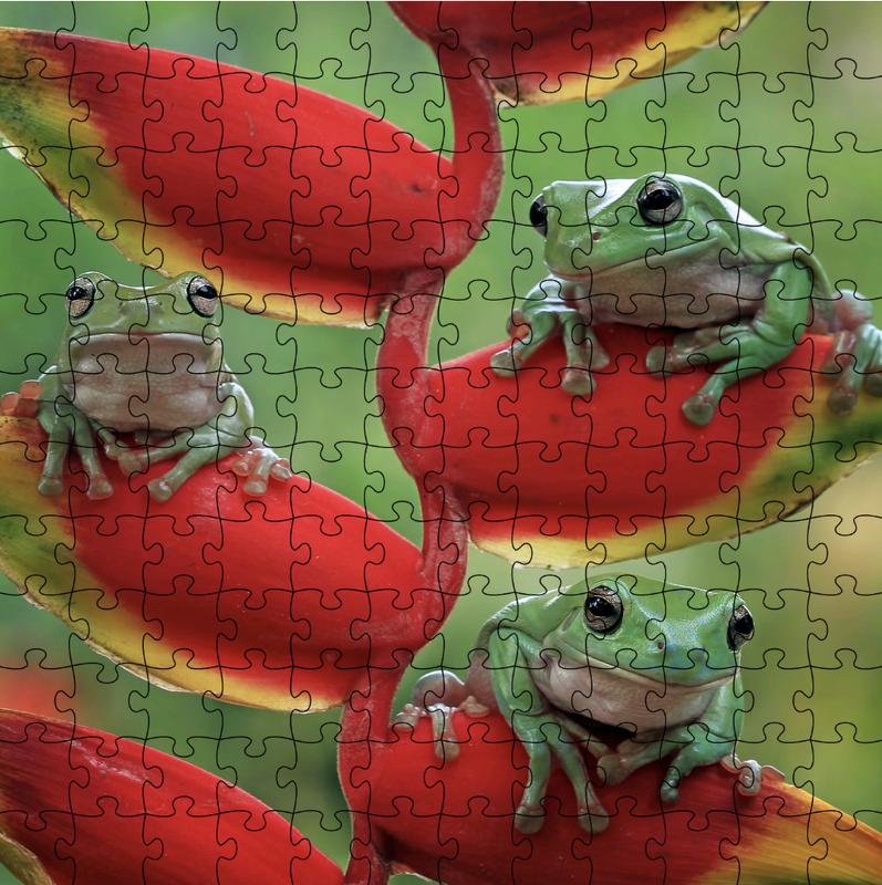 iPhone puzzle