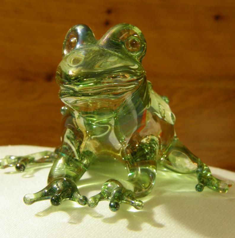 glass frog