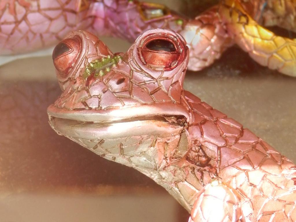 pink frog