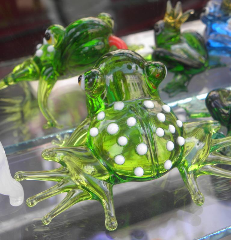 glass frog