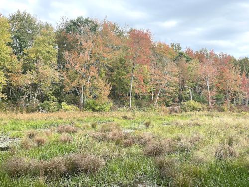 field in October at Abe Emerson Marsh near Candia in southern NH