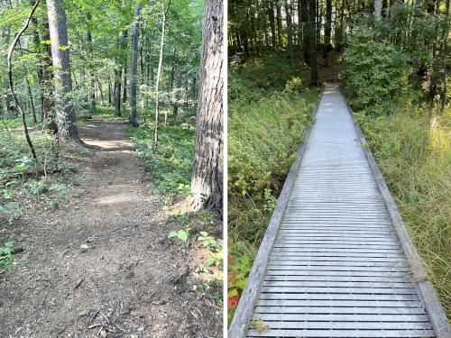 trails in September at Acton Arboretum in northeast MA