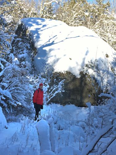 Fred in January at Agassiz Rock near Essex in northeast Massachusetts