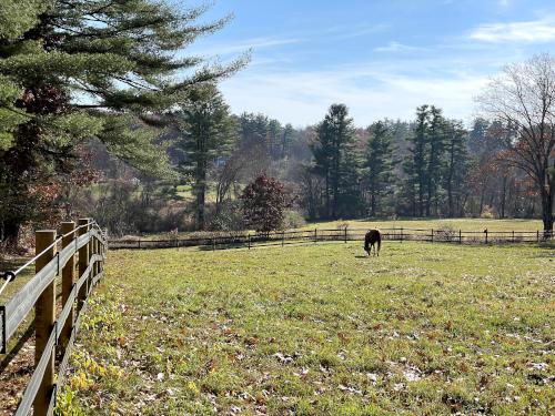 field in October at Albert Doolittle Conservation Area in southern NH