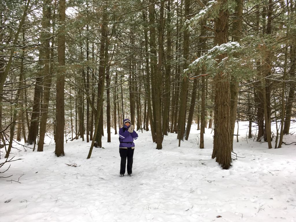 Andee enjoying being alone in the midst of beautiful woods near Allen Hill at Shelburne Bay Park in Vermont