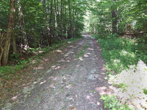 road at hike start to Ayers Pond Peaks in New Hampshire