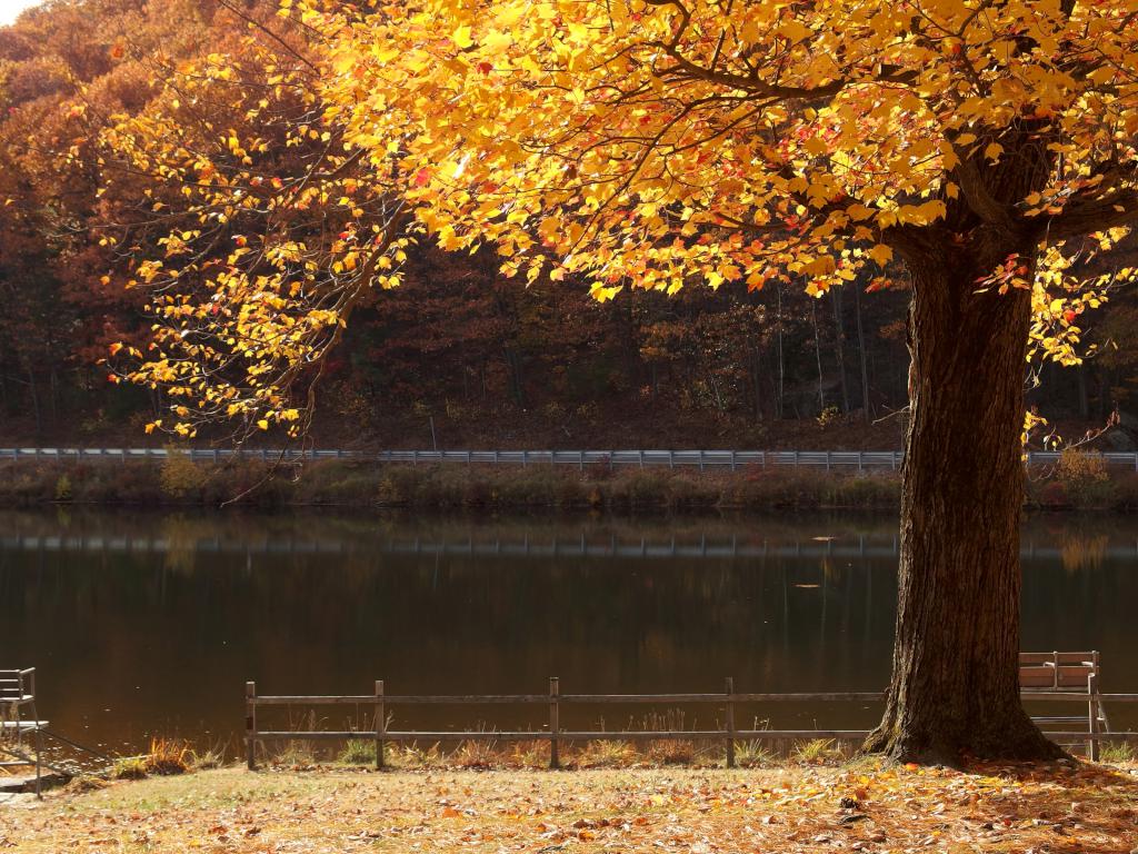 view across Crow Hills Pond in October near Ball Hill near Leominster MA