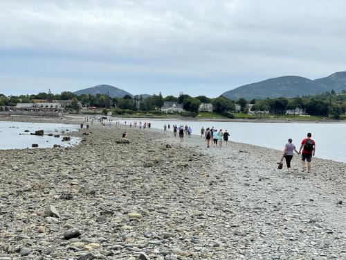 bar to Bar Island in September just after low tide near Acadia National Park in Maine