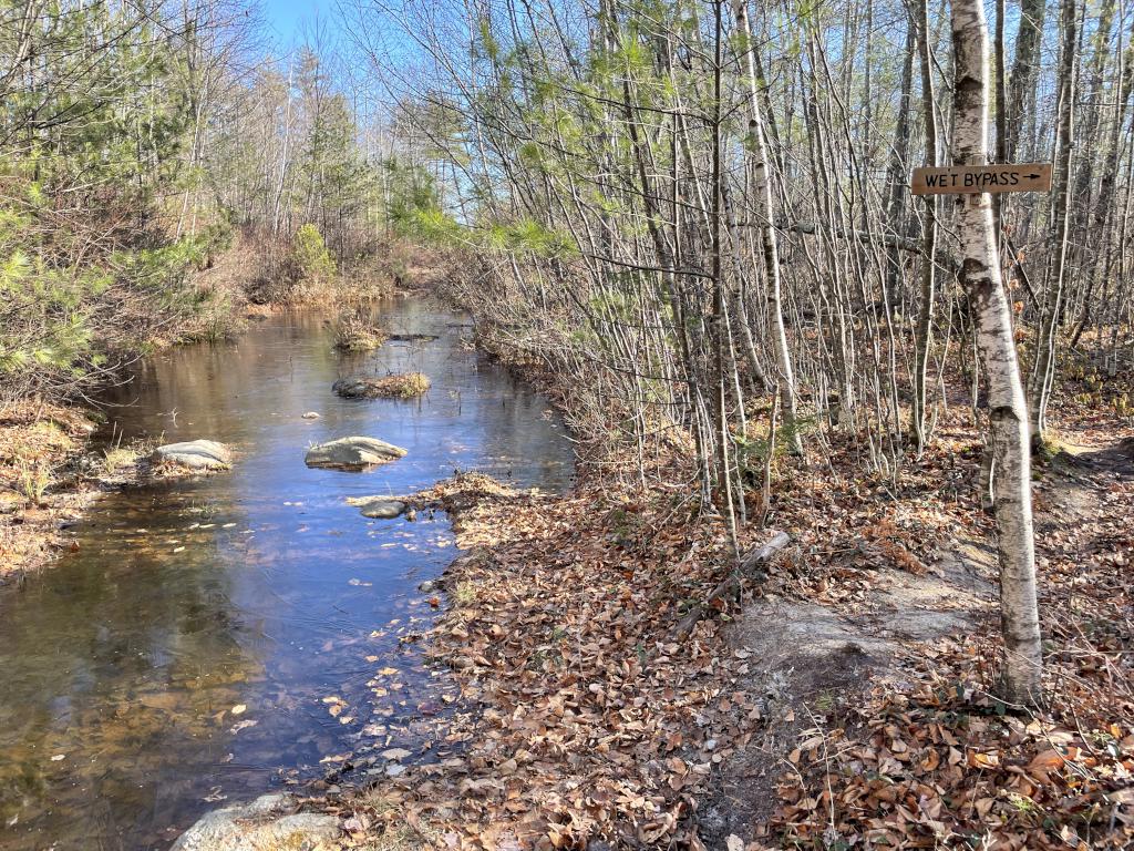 flooded trail and bypass sign in December at Barrington Watershed Area in southeast New Hampshire