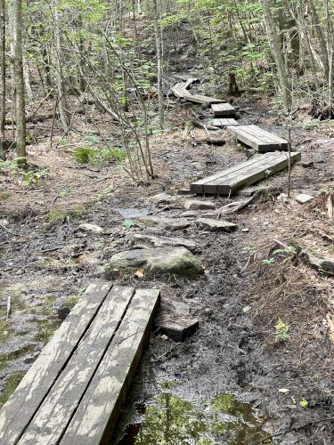 trail in August at Bauneg Beg Mountain in southwest Maine