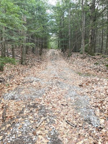 dirt road in November at Beech Hill near Andover in southern NH