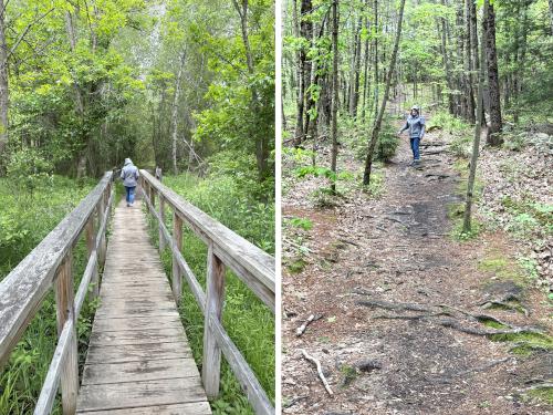 trail in May at Benson Park in southern NH