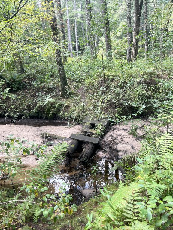 footbridge across Nutting Steam in September at Bertozzi WMA in northeast MA