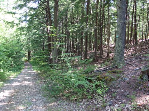 road at Betsey Dodge Conservation Area in southern New Hampshire