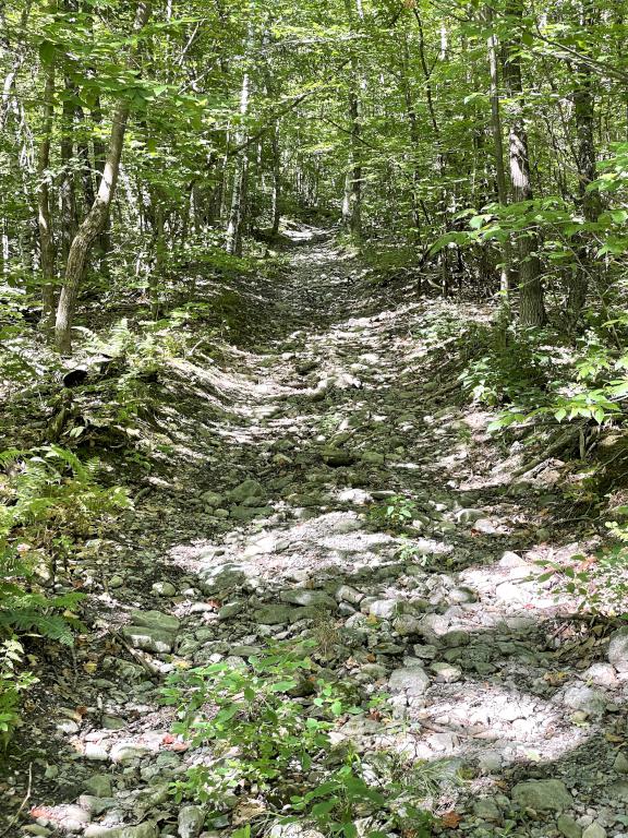 trail in September at Bird Mountain in southern Vermont