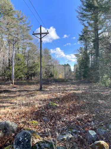 trail in December at Black Pond Nature Preserve in eastern Massachusetts