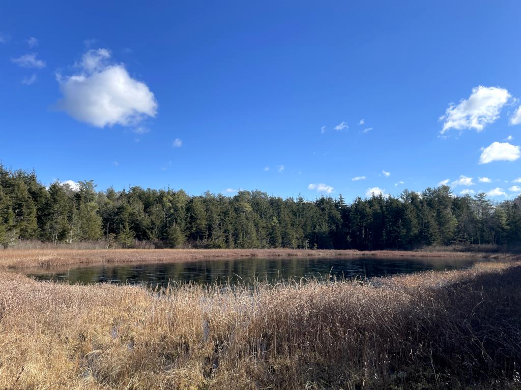 view in December from the boardwalk at Black Pond Nature Preserve in eastern Massachusetts