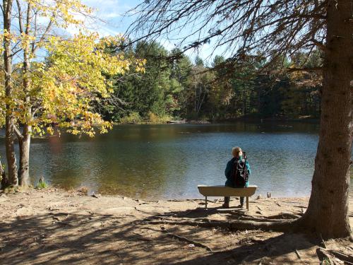 pond at Bowers Springs Conservation Area in northeastern Massachusetts