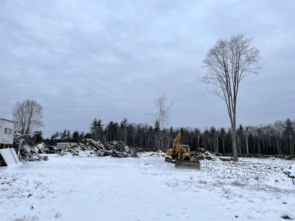 clear cut area in December beside the trail at Bow Woods near Bow in southern New Hampshire