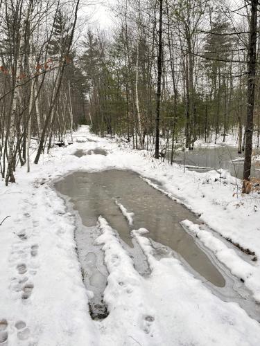 wet trail in December at Bow Woods near Bow in southern New Hampshire