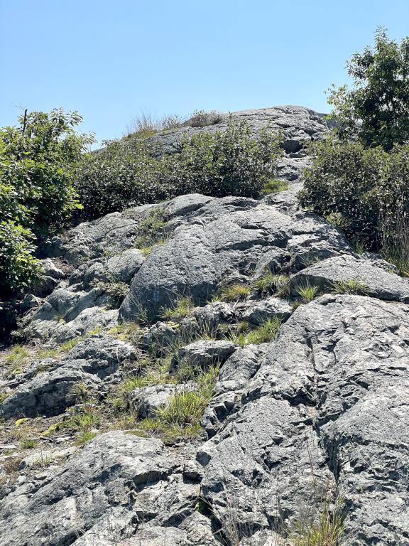 Eagle Rock in August at Breakheart Reservation in eastern Massachusetts