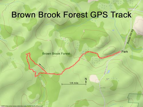 Brown Brook Forest gps track