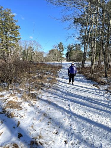 Andee in January at Buck Meadow near Amherst in southern NH