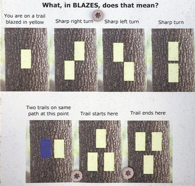 blazes in January at Buck Meadow near Amherst in southern NH