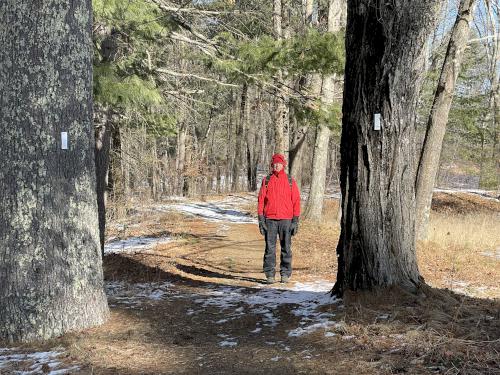 Fred in January at Buck Meadow near Amherst in southern NH