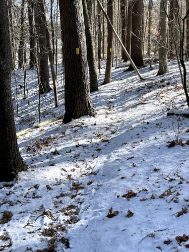 trail in January at Buck Meadow near Amherst in southern NH