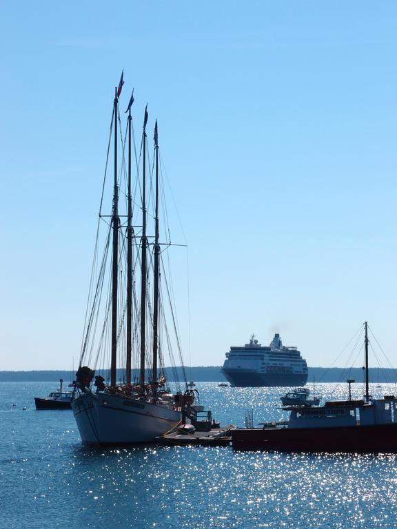 fancy boats moored at Bar Harbor in Maine