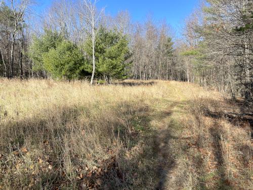 field in November at Caesar's Brook Reservation in southern NH