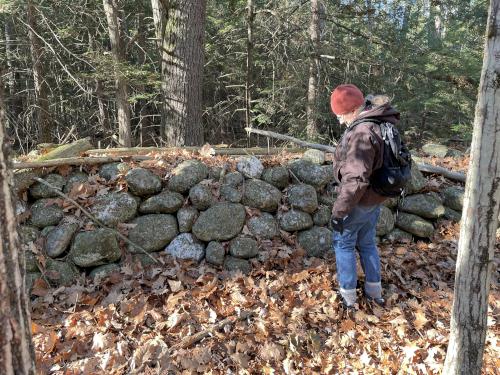 stone wall in November at Caesar's Brook Reservation in southern NH