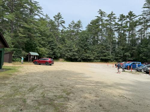xxx in July at Camp Trail at Bear Brook State Park in southern NH